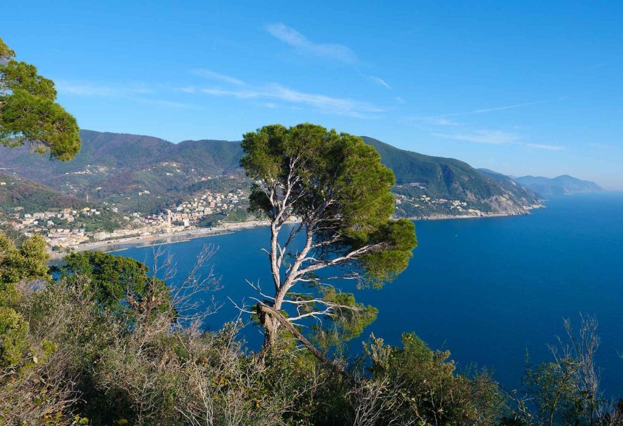 M'Illumino D'Immenso - Moneglia Apartments Kültér fotó