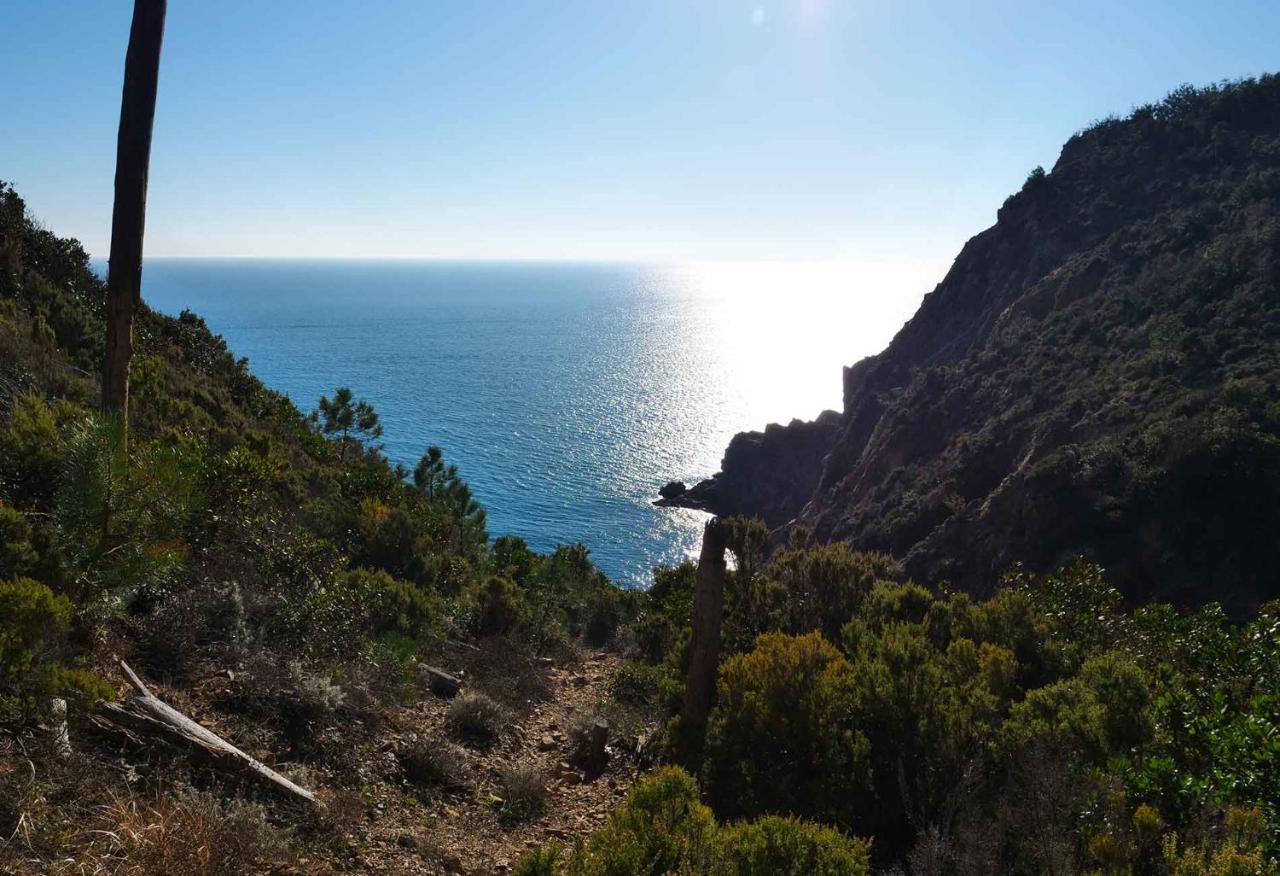 M'Illumino D'Immenso - Moneglia Apartments Kültér fotó